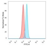 JunB/Transcription Factor JunB Antibody in Flow Cytometry (Flow)