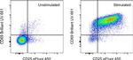 CD69 Antibody in Flow Cytometry (Flow)