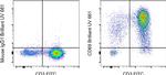 CD69 Antibody in Flow Cytometry (Flow)