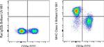 MHC Class II (I-A/I-E) Antibody in Flow Cytometry (Flow)