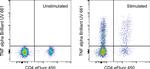 TNF alpha Antibody in Flow Cytometry (Flow)