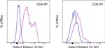 Gata-3 Antibody in Flow Cytometry (Flow)