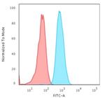 Cytokeratin 4 (KRT4) Antibody in Flow Cytometry (Flow)