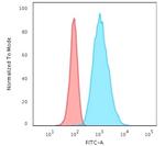 Cytokeratin 7 (Glandular and Transitional Epithelial Marker) Antibody in Flow Cytometry (Flow)