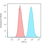 Cytokeratin 7 (Glandular and Transitional Epithelial Marker) Antibody in Flow Cytometry (Flow)