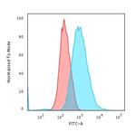 Cytokeratin 7 (Glandular and Transitional Epithelial Marker) Antibody in Flow Cytometry (Flow)