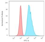 Cytokeratin 8 (KRT8) Antibody in Flow Cytometry (Flow)