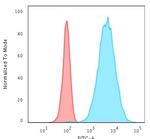 Cytokeratin 8 (KRT8) Antibody in Flow Cytometry (Flow)