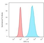 Cytokeratin 8 (KRT8) Antibody in Flow Cytometry (Flow)