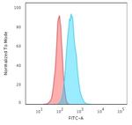 Cytokeratin 13 (Non-Keratinized Squamous Epithelial Marker) Antibody in Flow Cytometry (Flow)