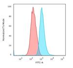 Cytokeratin 14 (KRT14) (Squamous Cell Marker) Antibody in Flow Cytometry (Flow)