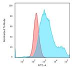 Cytokeratin 18 (KRT18) Antibody in Flow Cytometry (Flow)