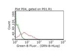 HER2 Fab Antibody in Flow Cytometry (Flow)