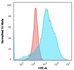 LMO2 Antibody in Flow Cytometry (Flow)