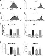 TXNIP Antibody in Flow Cytometry (Flow)