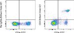 CD4 Antibody in Flow Cytometry (Flow)