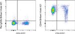 CD44 Antibody in Flow Cytometry (Flow)