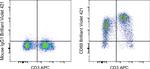 CD69 Antibody in Flow Cytometry (Flow)