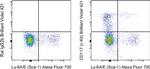 CD117 (c-Kit) Antibody in Flow Cytometry (Flow)