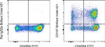 CD197 (CCR7) Antibody in Flow Cytometry (Flow)