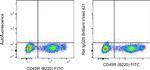 Rat IgG2b kappa Isotype Control in Flow Cytometry (Flow)