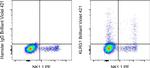 KLRG1 Antibody in Flow Cytometry (Flow)