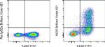 iNOS Antibody in Flow Cytometry (Flow)