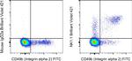 NK1.1 Antibody in Flow Cytometry (Flow)