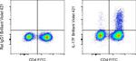 IL-17F Antibody in Flow Cytometry (Flow)