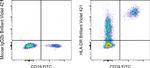 HLA-DR Antibody in Flow Cytometry (Flow)