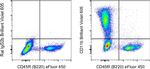 CD11b Antibody in Flow Cytometry (Flow)