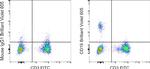 CD19 Antibody in Flow Cytometry (Flow)