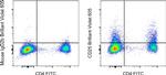 CD25 Antibody in Flow Cytometry (Flow)