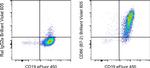 CD86 (B7-2) Antibody in Flow Cytometry (Flow)