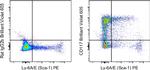 CD117 (c-Kit) Antibody in Flow Cytometry (Flow)