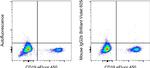 Mouse IgG2b kappa Isotype Control in Flow Cytometry (Flow)