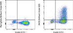 iNOS Antibody in Flow Cytometry (Flow)