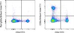 CD8a Antibody in Flow Cytometry (Flow)