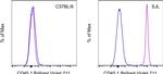 CD45.1 Antibody in Flow Cytometry (Flow)