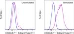 CD80 (B7-1) Antibody in Flow Cytometry (Flow)