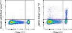 CD103 (Integrin alpha E) Antibody in Flow Cytometry (Flow)