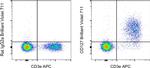 CD127 Antibody in Flow Cytometry (Flow)