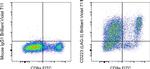 CD223 (LAG-3) Antibody in Flow Cytometry (Flow)