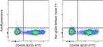 Rat IgG2b kappa Isotype Control in Flow Cytometry (Flow)