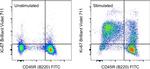 Ki-67 Antibody in Flow Cytometry (Flow)