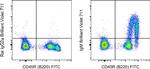 IgM Antibody in Flow Cytometry (Flow)