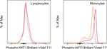 Phospho-AKT1 (Ser473) Antibody in Flow Cytometry (Flow)