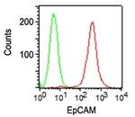 Ep-CAM/CD326 (Extracellular Domain) (Epithelial Marker) Antibody in Flow Cytometry (Flow)