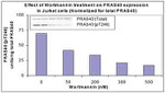 Human PRAS40 (Phospho) [pT246] ELISA Kit