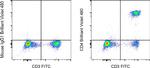 CD4 Antibody in Flow Cytometry (Flow)